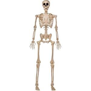 Halloween String Lights 164FT 500 LED Purple Orange 8 Modes Indoor Outdoor Decor